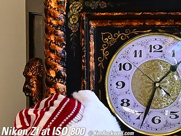 Nikon Zf High ISO Sample Image Files