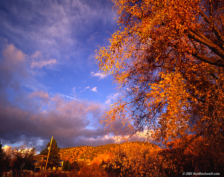 HUGE download, click BACK now!!!