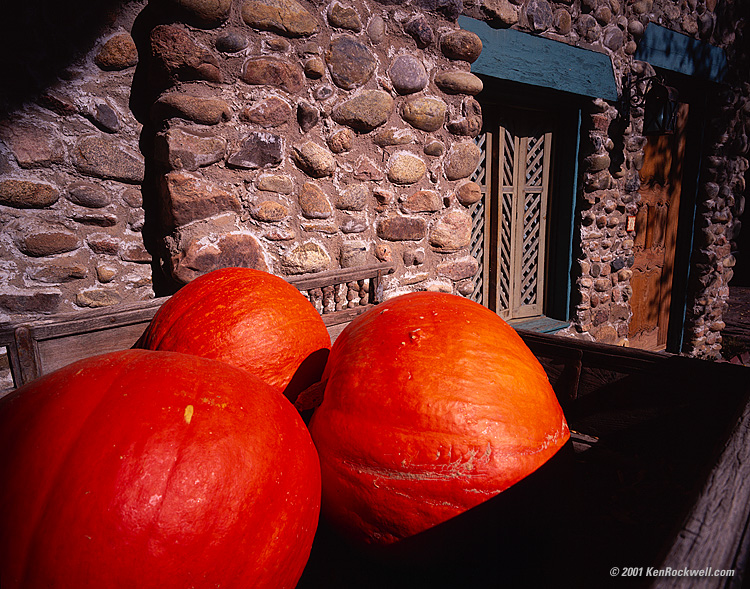 HUGE download, click BACK now!!!