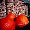Pumpkins