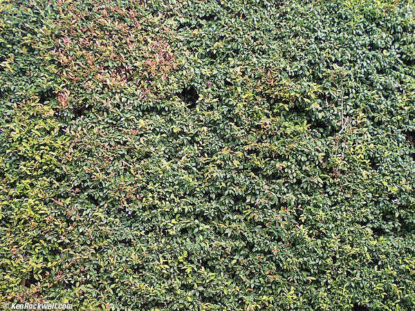 Olympus TG-4 sharpness