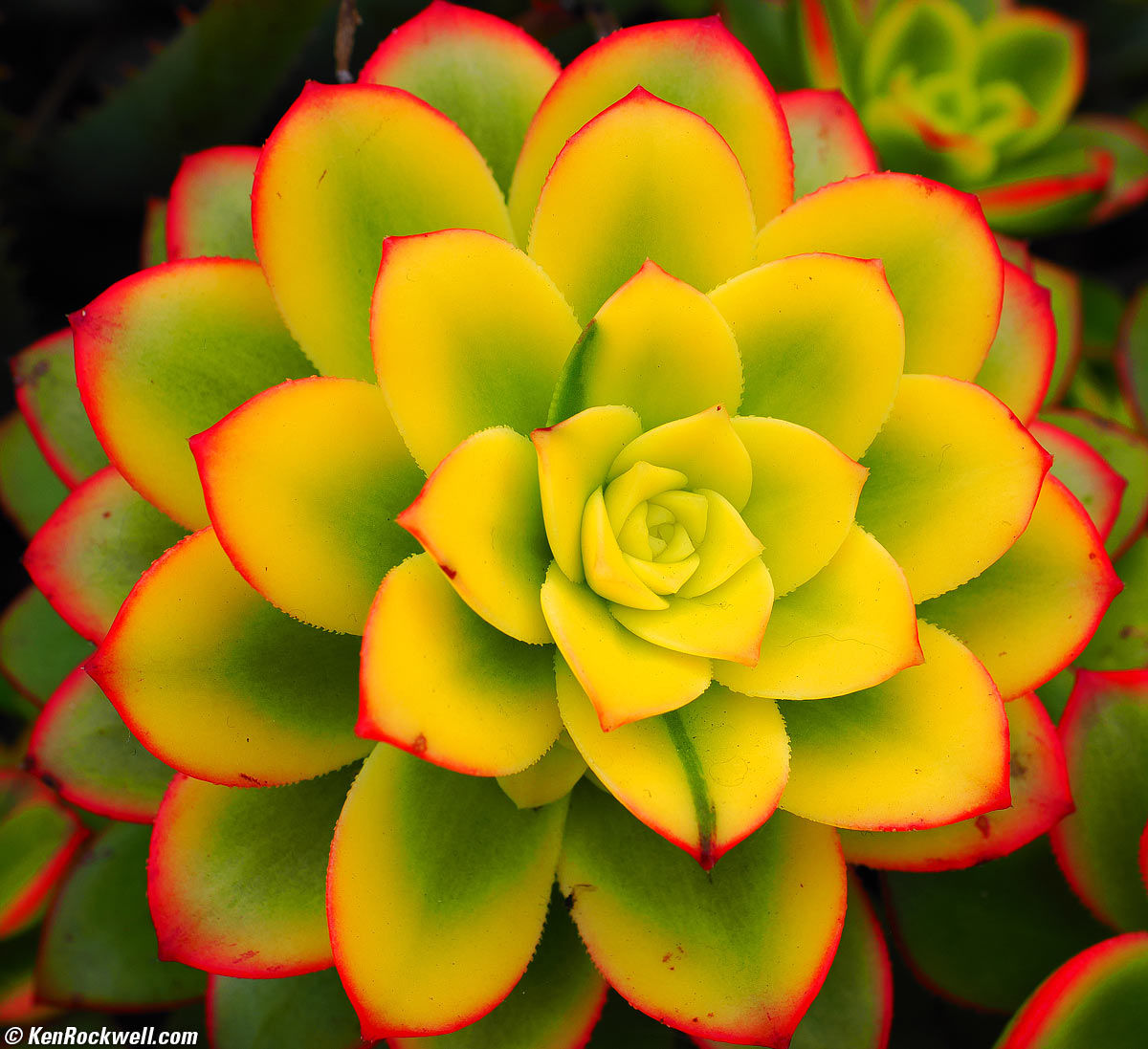 Sample Image file from OM-1 and M.Zuiko 12-40mm f/2.8 II