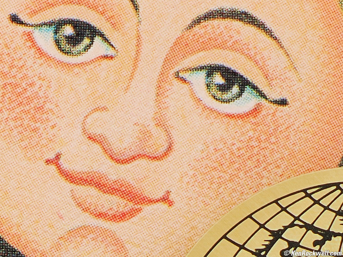 Hamilton Grandfather Clock - OM 90mm Macro sample image