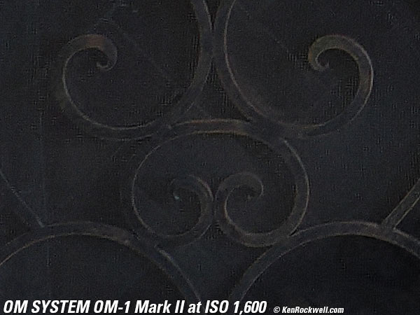 OM SYSTEM OM-1 Mark II High ISO Sample Image File