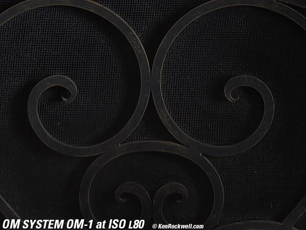 OM SYSTEM OM-1 High ISO Sample Image File