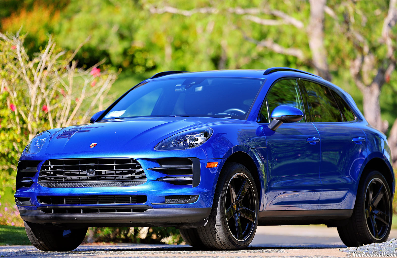 Canon RF 100-300mm f/2.8 L IS USM Sample Image File