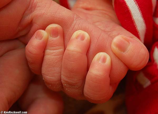 Holding dad's fiinger