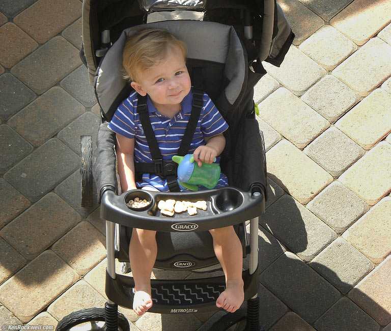 Ryan ready for a walk