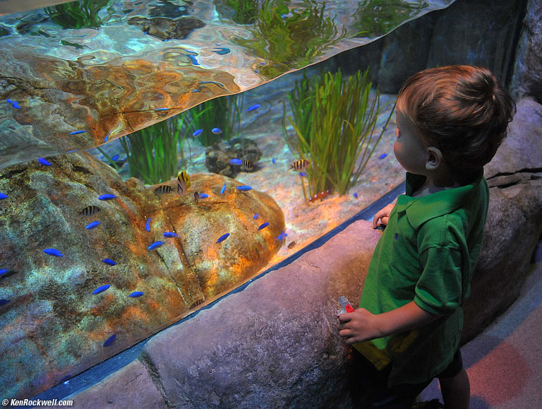 Ryan at Legoland Sea life Adventure