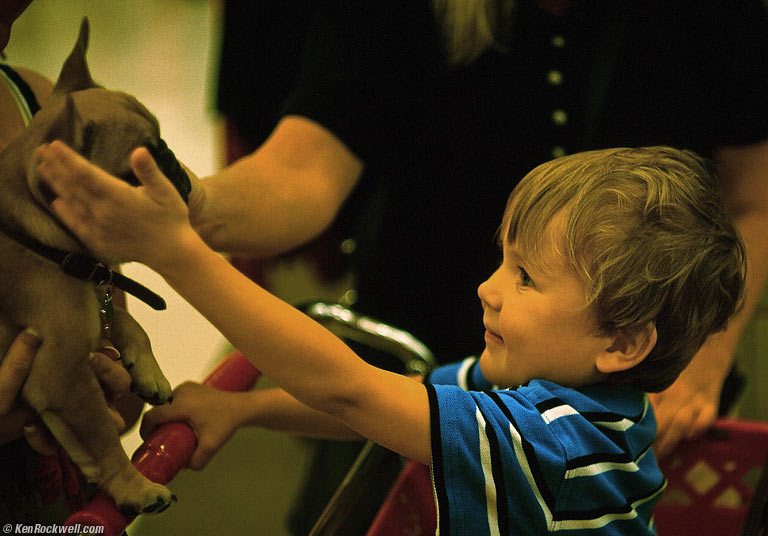 Ryan and a French Bulldog