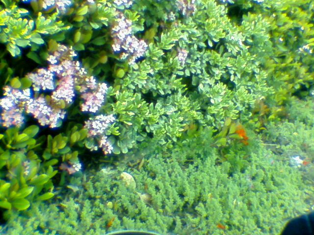 From Ryan's stroller.