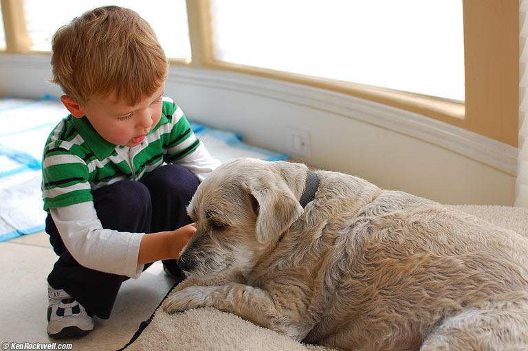 Ryan hooking up Buster