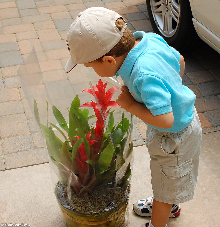 Ryan and the Bromeliad