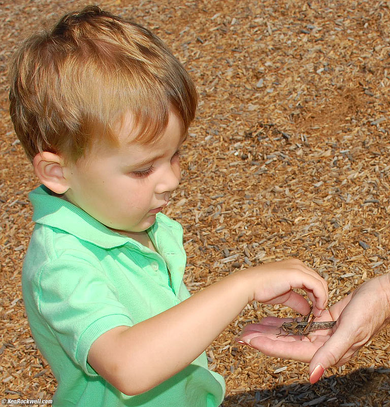 Ryan with Grasshopper