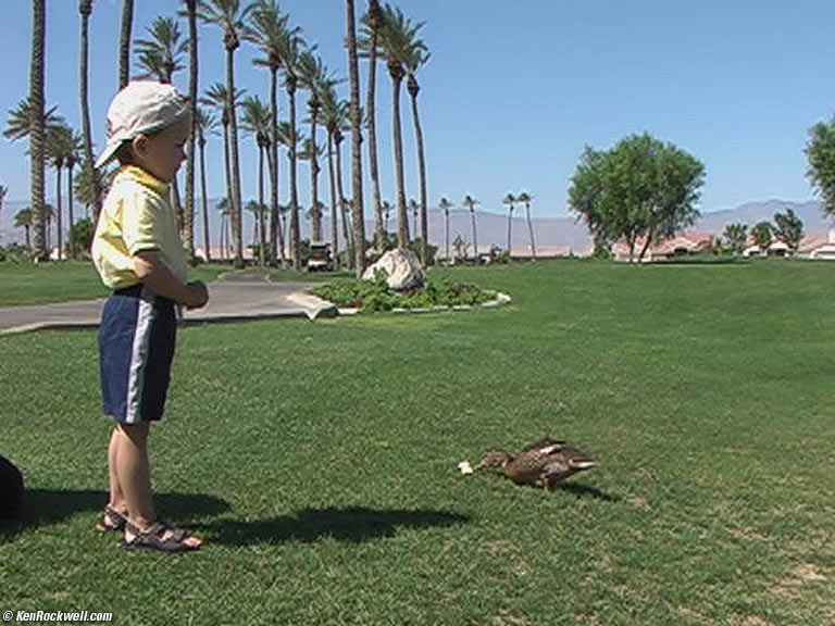 Ryan feeding the ducks