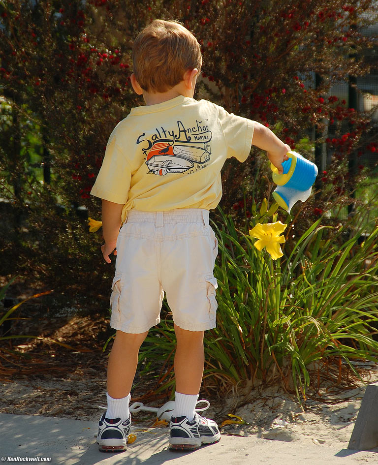 Watering the flowers