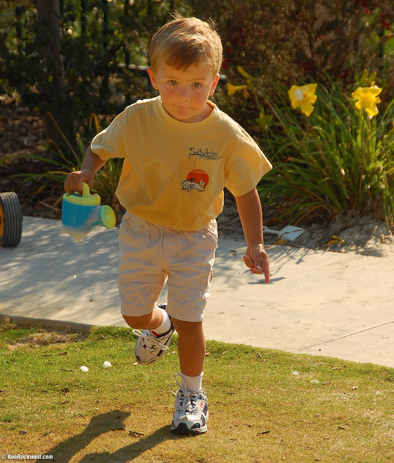 Running from the flowers