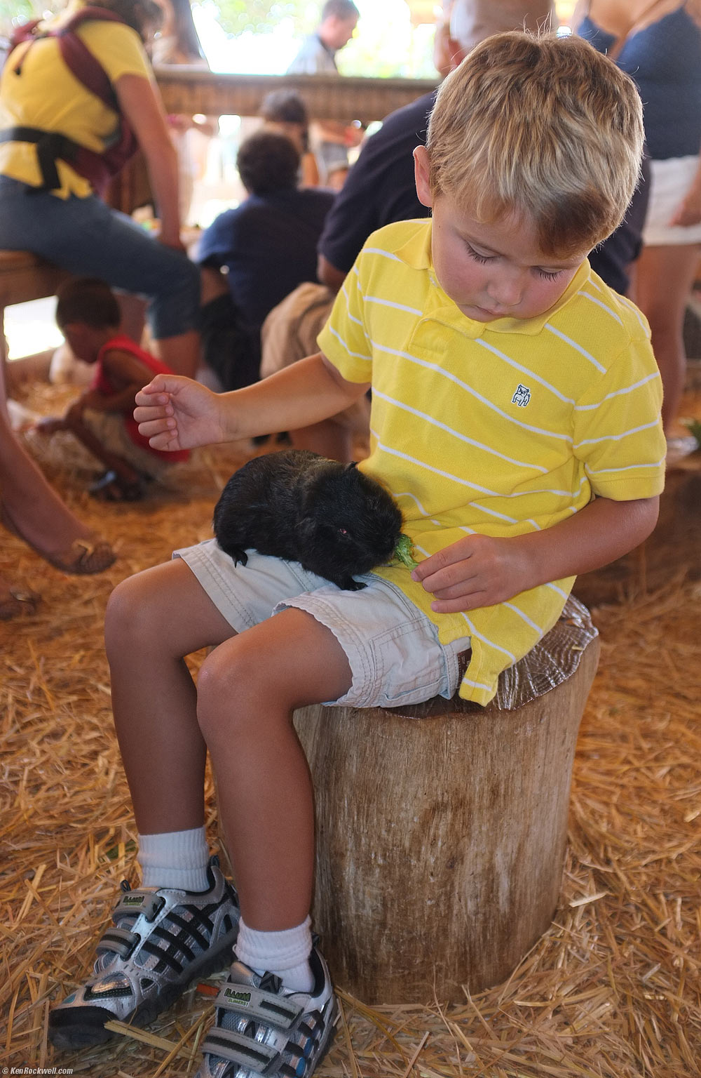 Ryan feeds the guinea pig