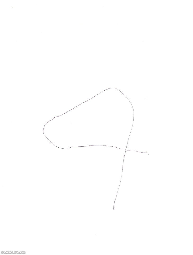 Ryan's Hand in Scanner