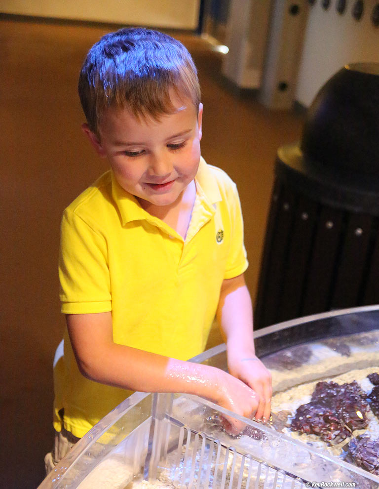 Ryan enjoys the tide pool. 