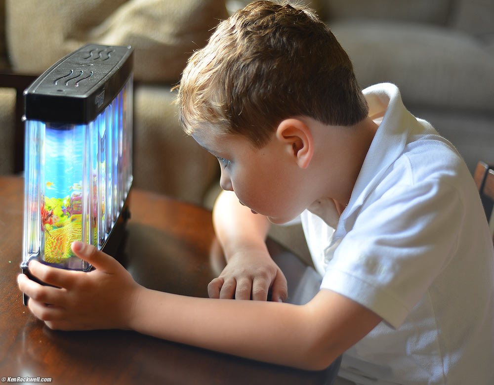 Ryan checks out Katie's fish tank.