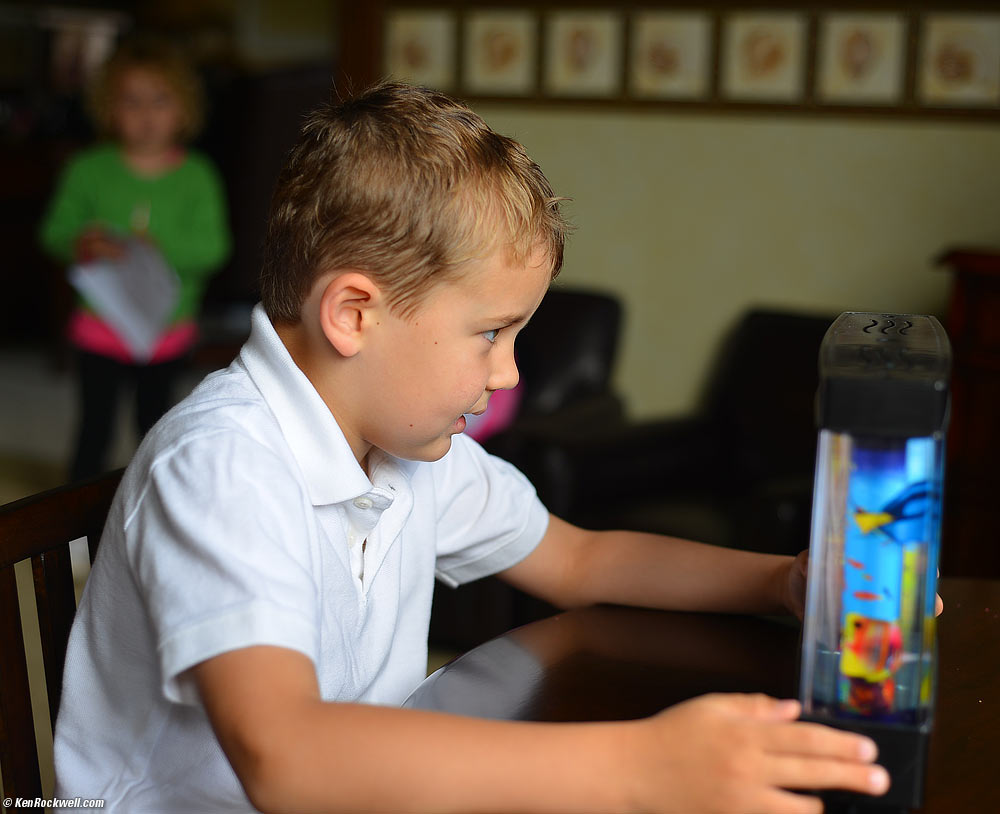 Ryan checks out Katie's fish tank.