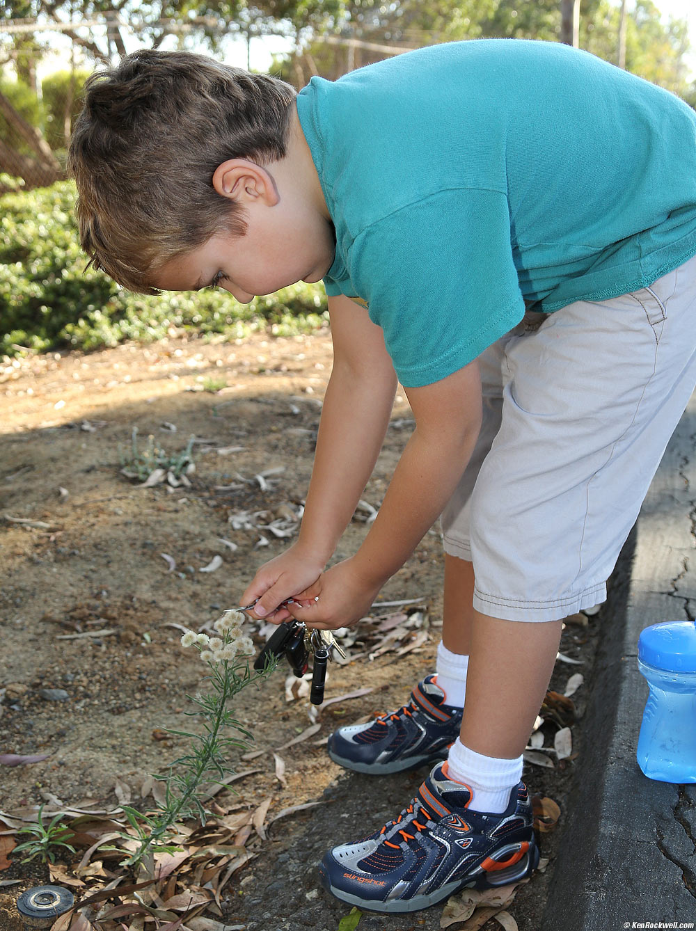 Since Ryan is recouperating from a broken foot, Ryan and Dada went exploring while Katie was at Gymnastics. Ryan found some dandelion-like plants, and wanted to cut one to blow and make a wish.