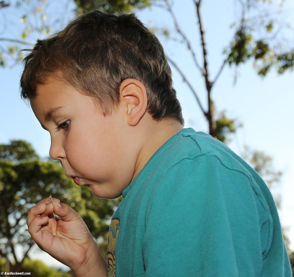 Ryan made his wish: he wished for a door to appear in the fence to the sewage plant so we could go in and explore it. 