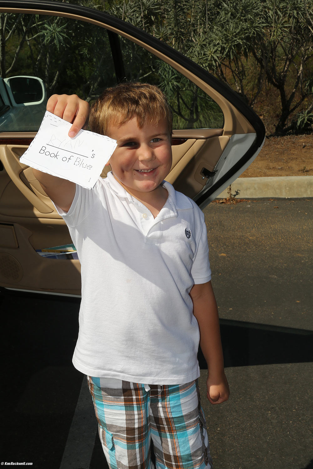 Ryan and Ryan's Book of Blue