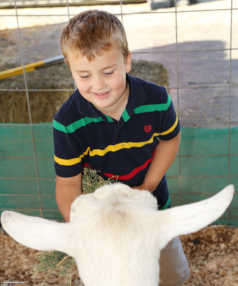 Ryan thinks animals are funny! 