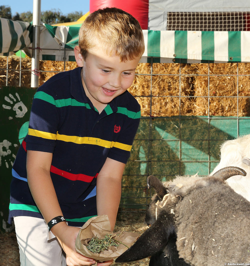 Ryan loves feeding the goats!