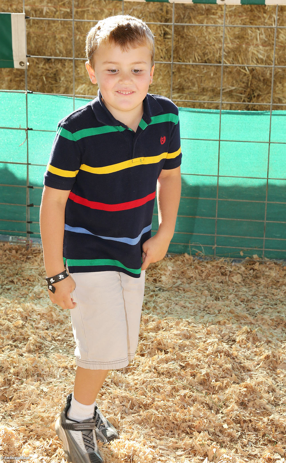 Ryan thinks the animals are hilarious! 