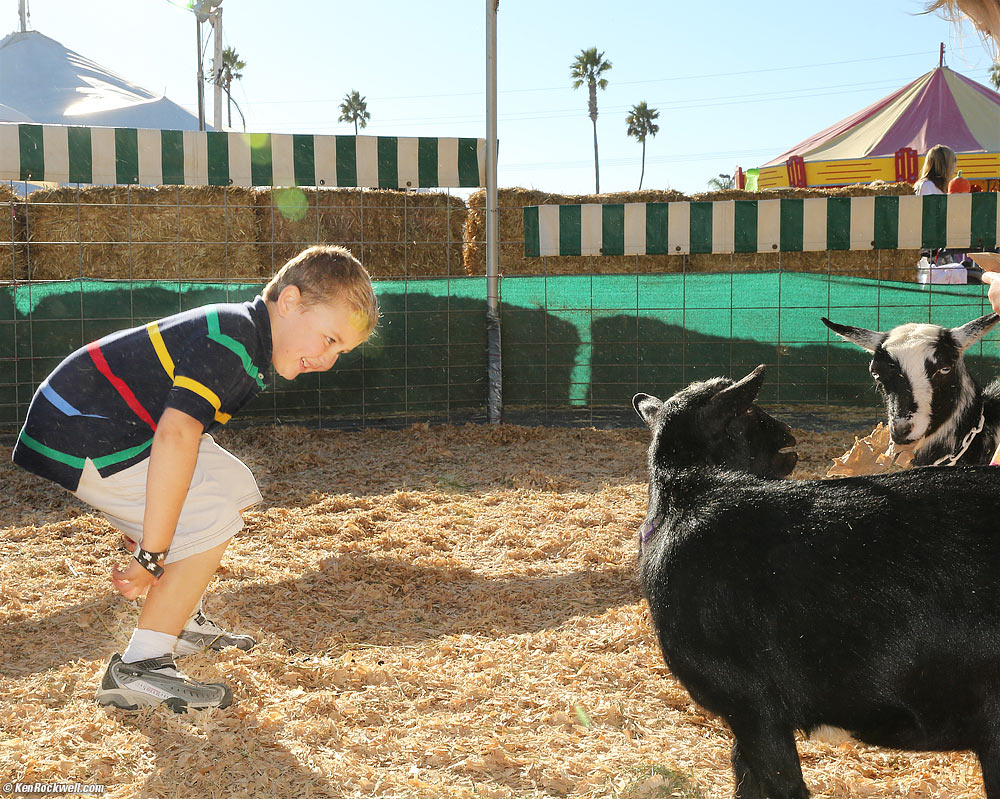 Ryan finds the animal's behavior hilarious!