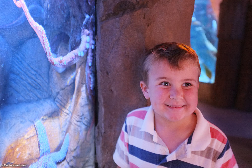 Ryan likes the octopus.