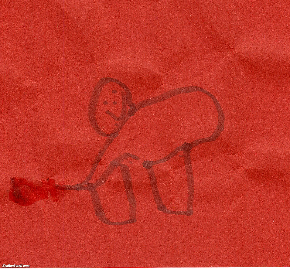 Ryan's Hot Dog Ketchup Squirter