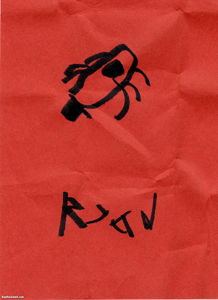 Ryan's Spider Drawing