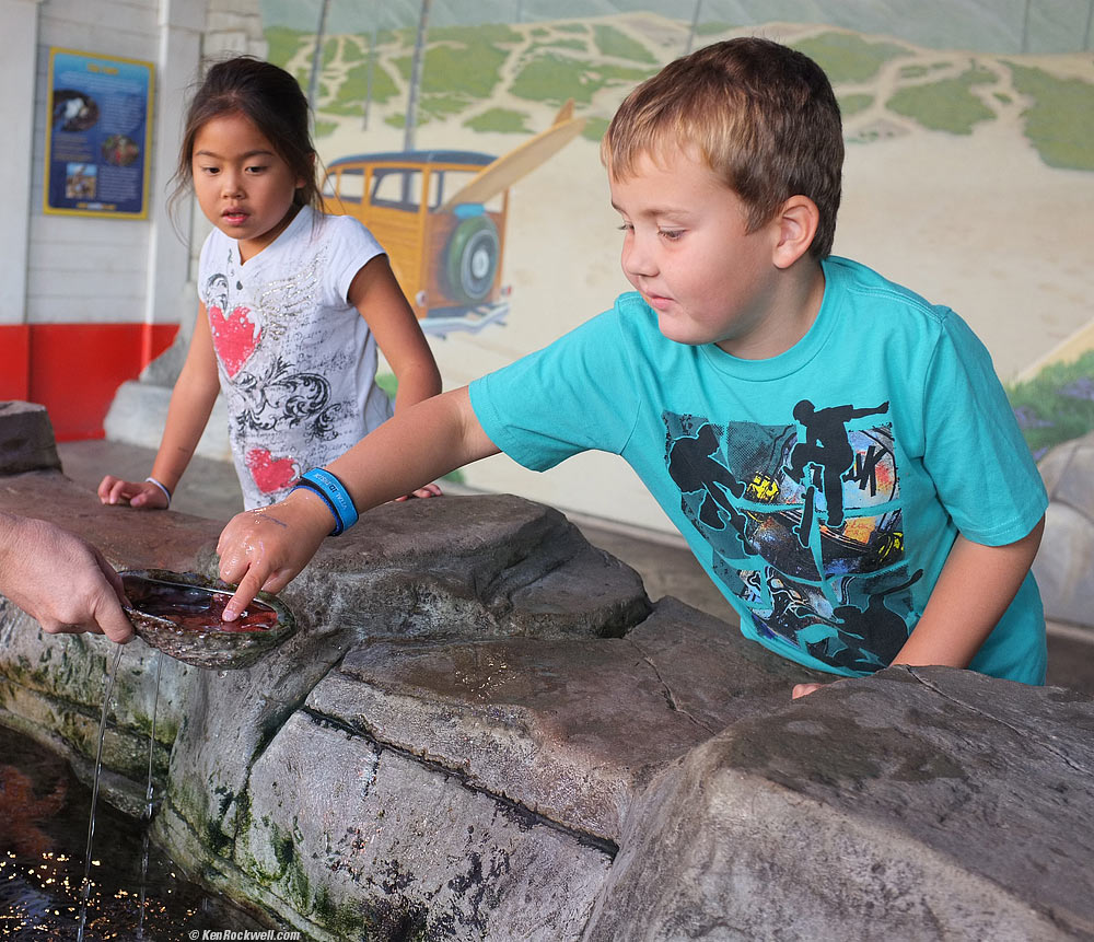 Ryan at the aquarium