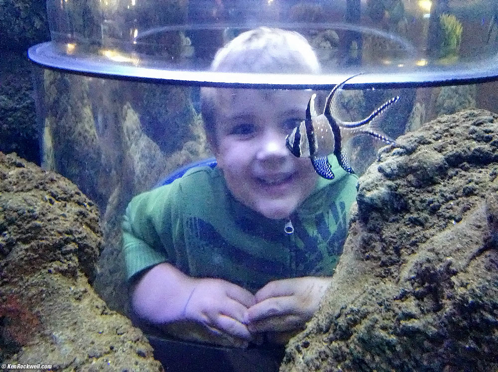 Ryan and the Spider Crab