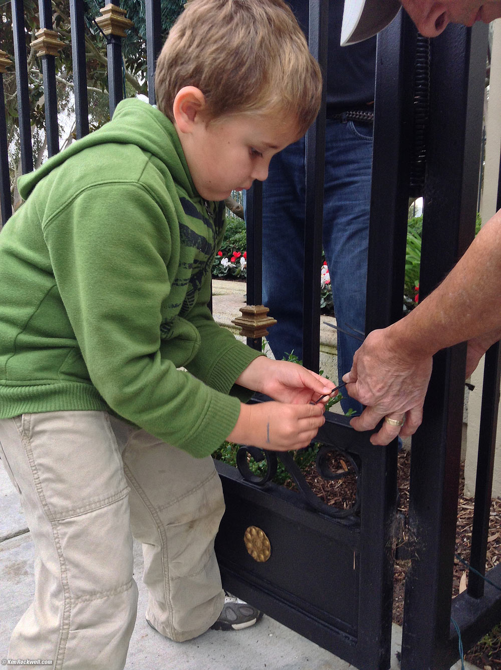 Ryan and the Spider Crab