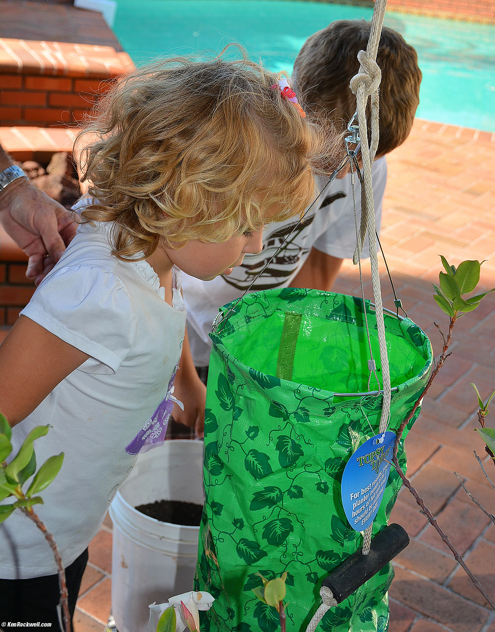 Katie and Ryan check out Pop's Topsy Turvy upside-down Tomato planter.