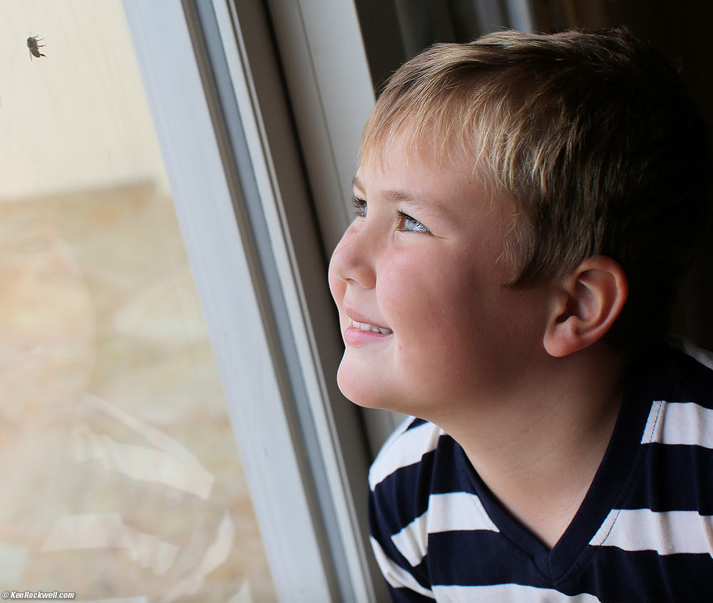 Ryan is amused by a bee on the window