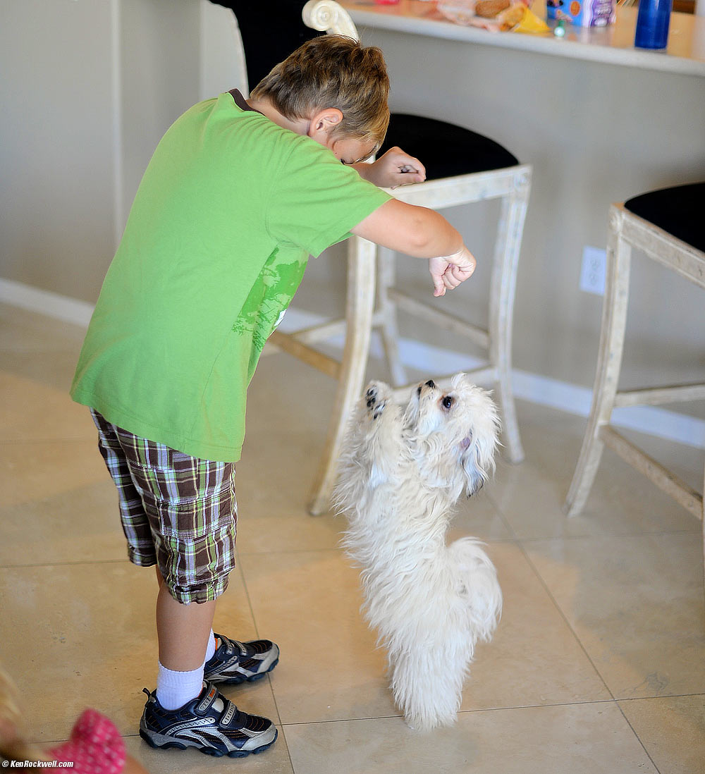 Ryan putting in Palm Desert