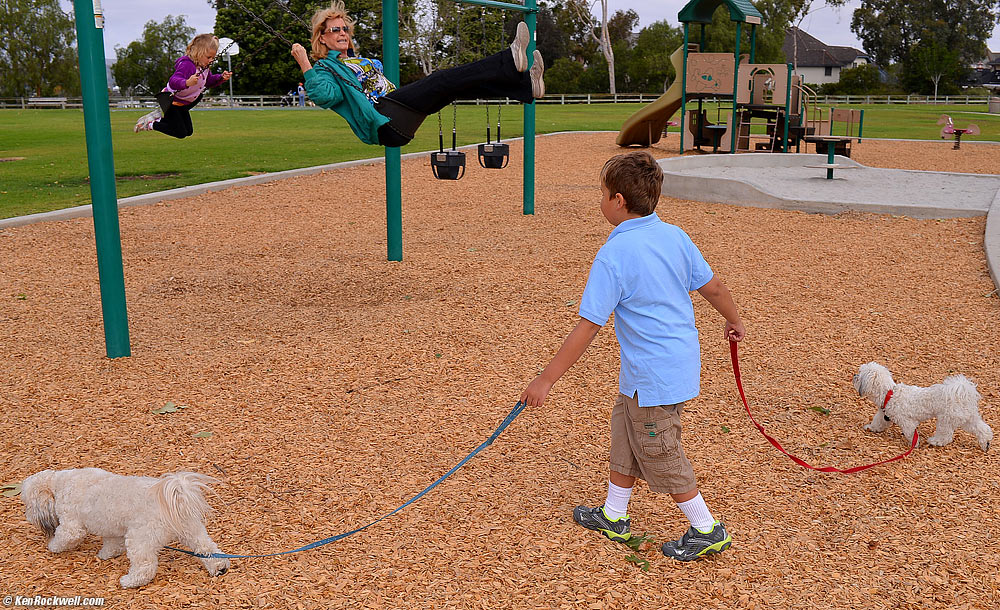 Ryan walking Toby (left) and Sasha (right)
