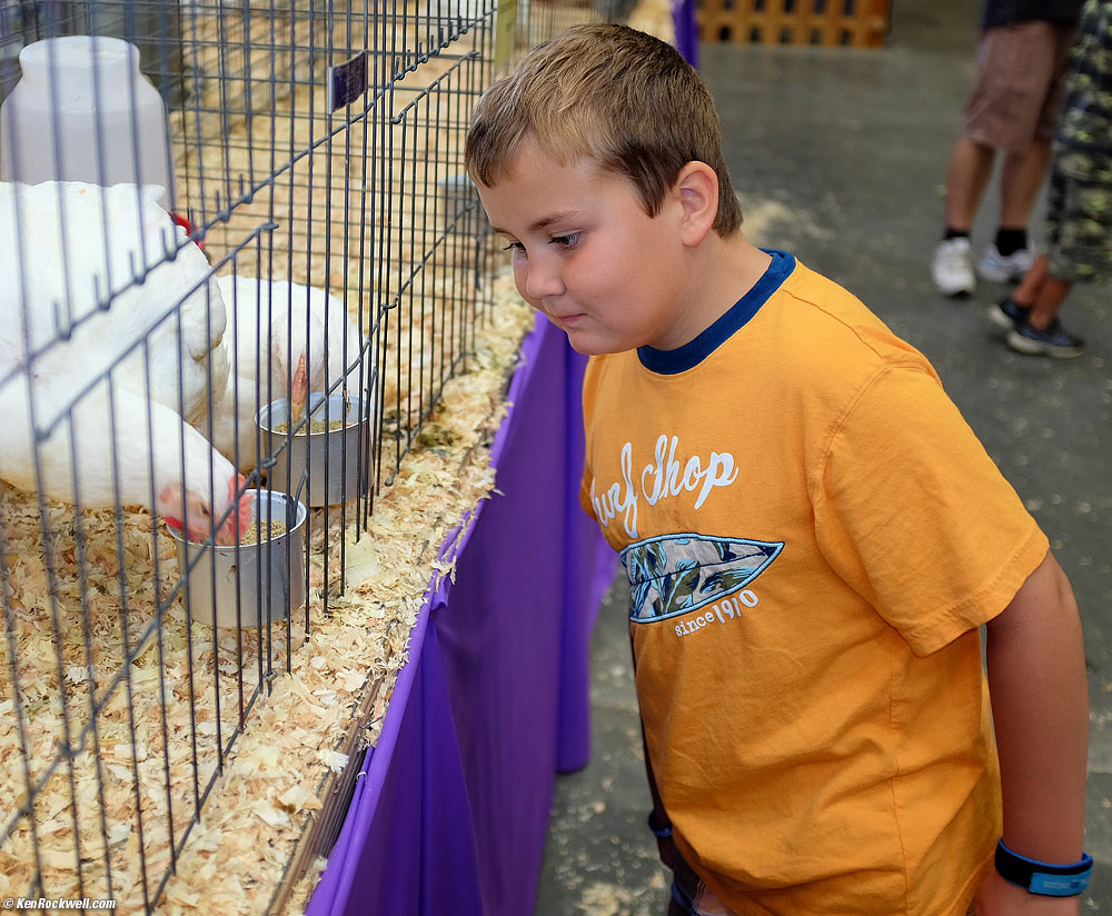 Ryan flies at the county fair