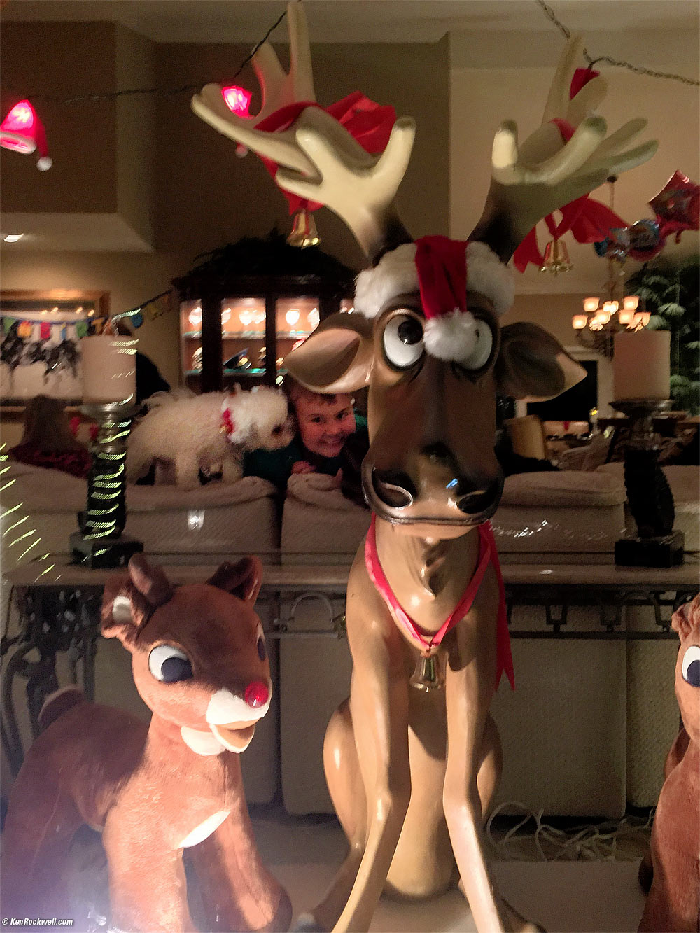 Ryan gets licked by Sasha