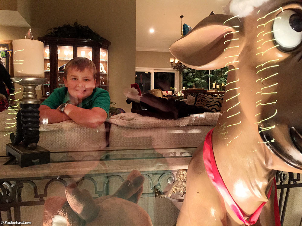 Ryan in Noni's window.