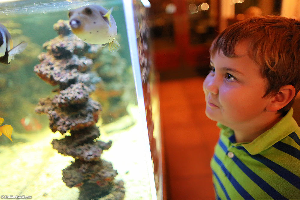 Ryan likes the fish at Leucadia Pizzaria