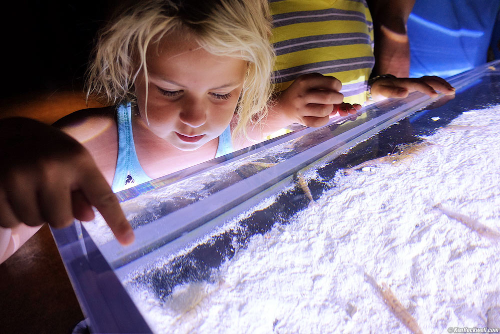 Katie checks out the shrimp.
