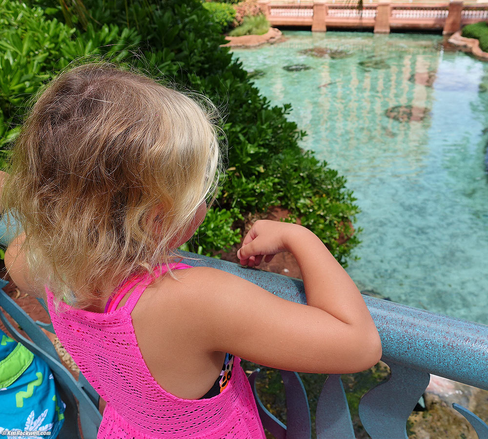 Katie checks out the turtles, 