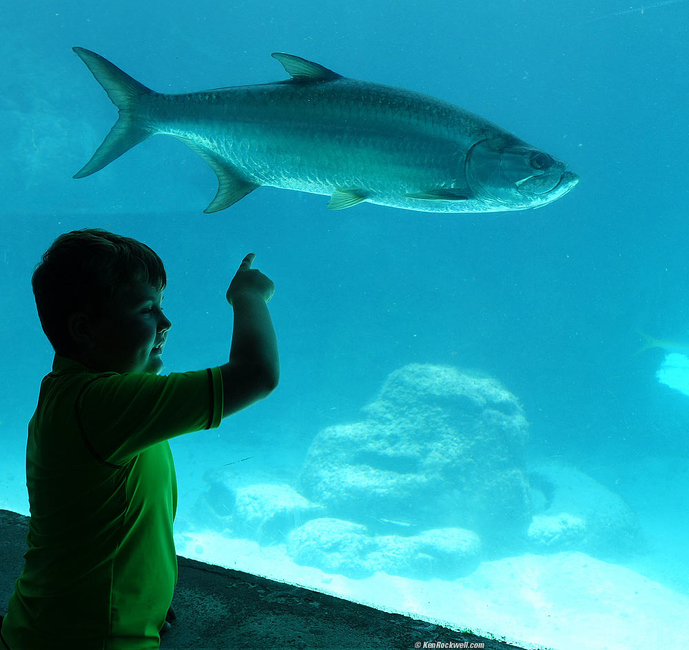 Ryan checks out the big fish at one of the numerous aquaria
